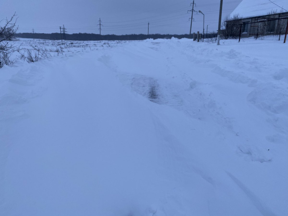 Лариса Андреева tweet media