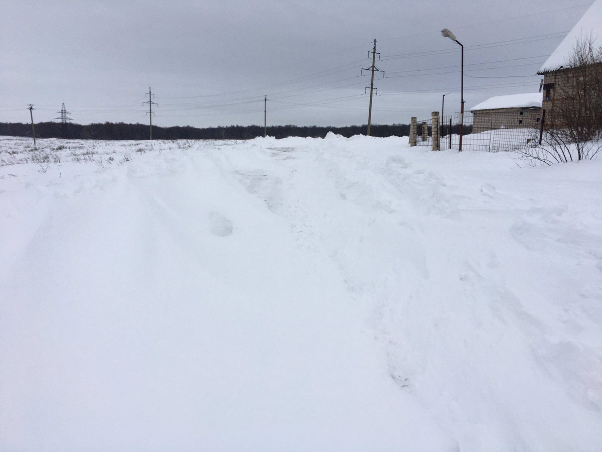 Лариса Андреева tweet media