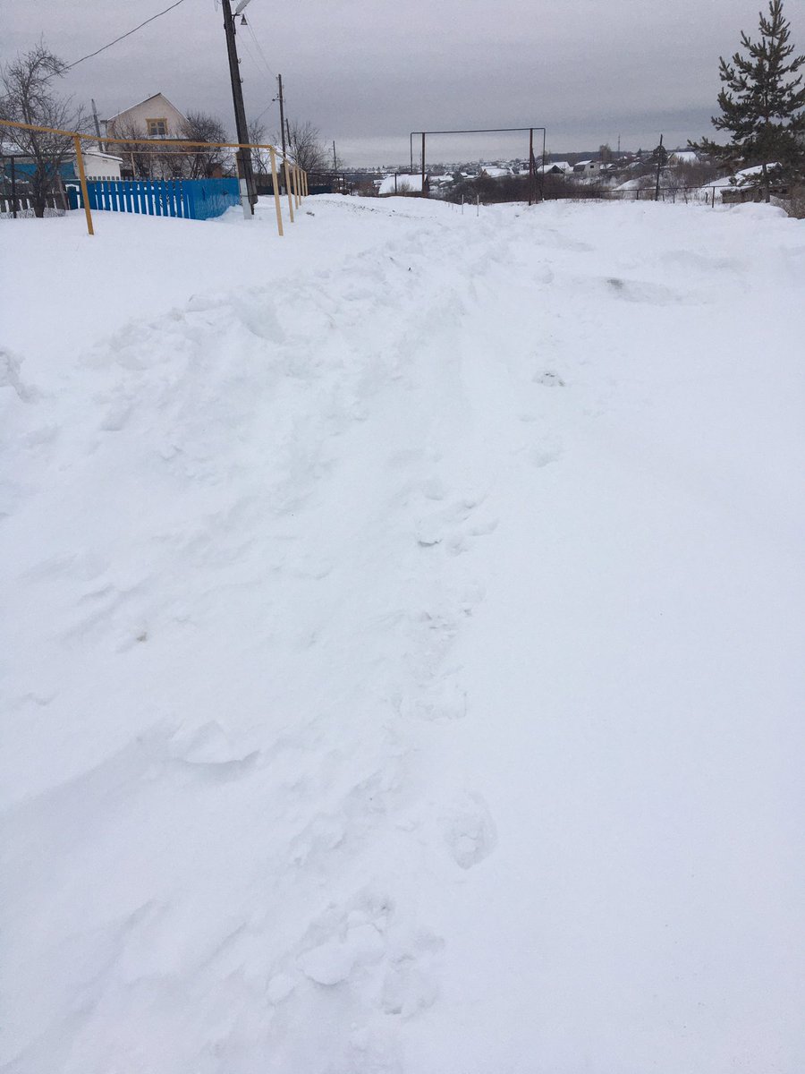 Лариса Андреева tweet media