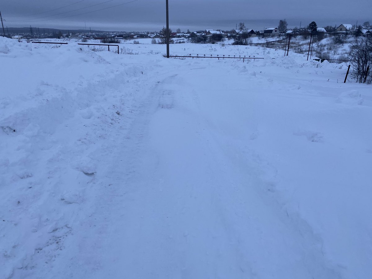 Лариса Андреева tweet media