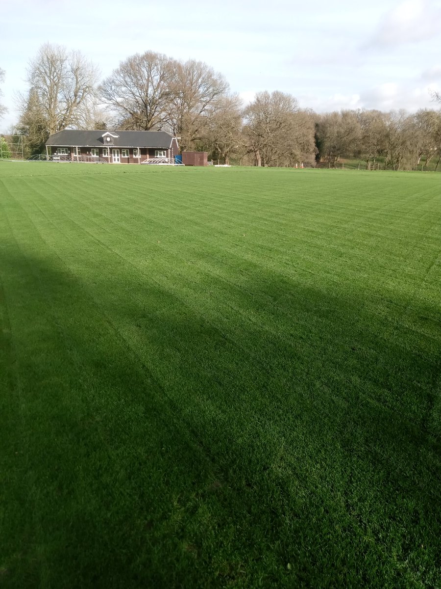 Crazy growth! Tour turf becoming less effective by the week, time for a top up.