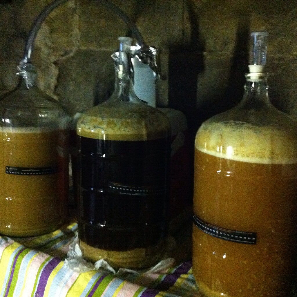 It’s hump day and what better way to get over it than a little beer in your ear! Yep! Listen to episode three now if you haven’t! A New Beer-ginning! Also check out on Spotify! anchor.fm/nerdy-pint/epi… #HumpDayHomebrew #Beer #CraftBeer #Homebrew #Brewing