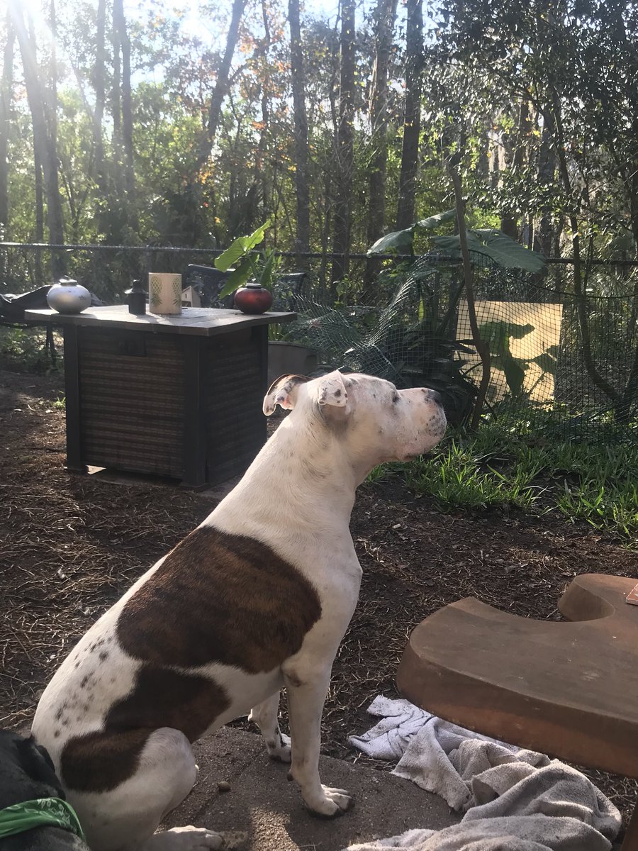 yaaay..... good morning.... ☀️💖