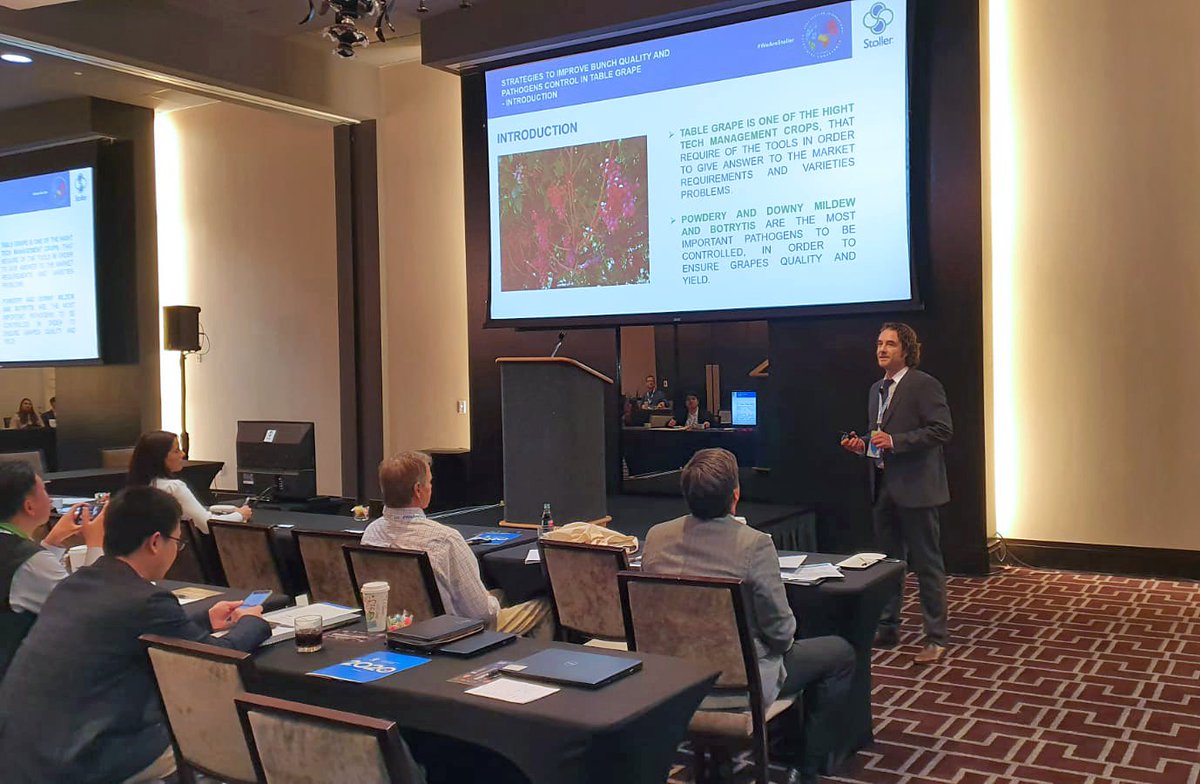 StollerEurope's tweet image. Yesterday January 28, Vicente Doménech, Technical Manager of Stoller Europe, gave the presentation named ‘’Strategies to Improve Bunch Quality and Pathogen Control in Table Grape´´ at the #StollerSIAC2020.

#ThisIsStoller #ThisIsKnowledge