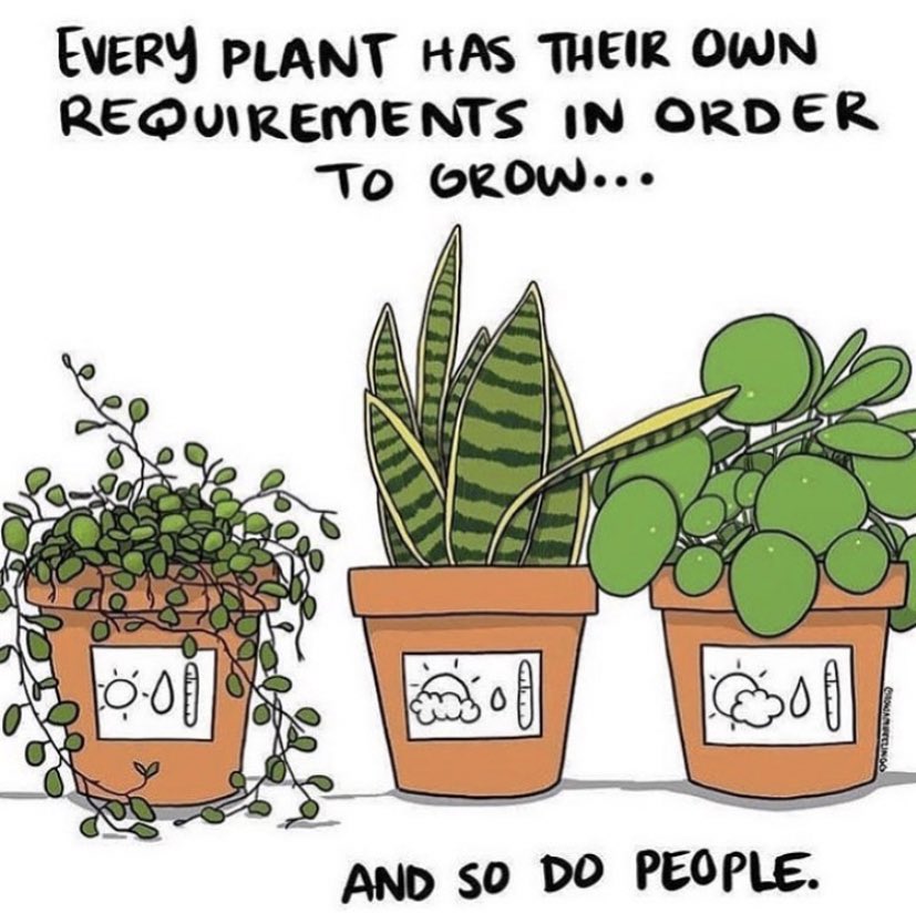 TaylorEwanski's tweet photo. https://t.co/5eKKYj976I