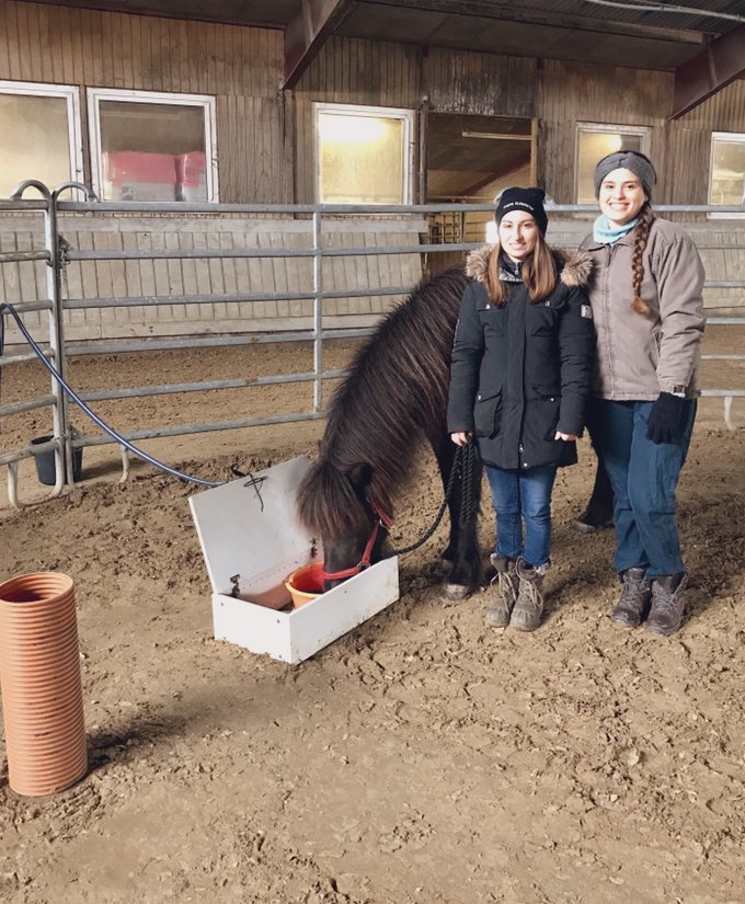 MariaRorvang's tweet photo. First article of 2020 is published in @Animals_MDPI ! “Horses failed to learn from humans by observation”. A huge thanks to the two awesome students in this picture Tina and Carolyne! Open access via the link: https://t.co/vHj4GHvPHt #horsebehavior #equinelearning @_SLU https://t.co/yBqLO9mCX4