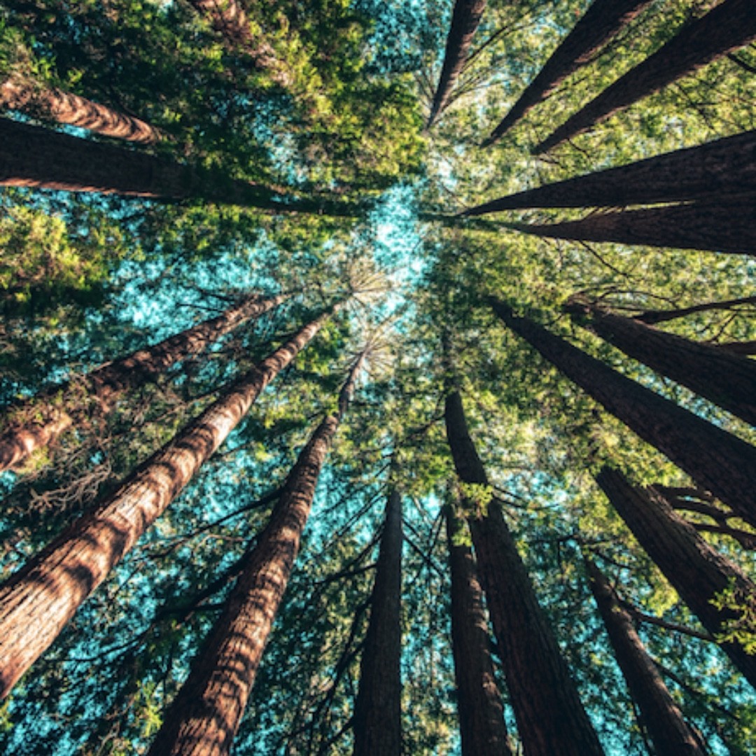regenxtech's tweet photo. Not all e-waste recycling methods are the same. 
#mineworx and #enviroleach processes use a proprietary water-based formula that is non-toxic; extracting gold and other precious metals from e-waste WITHOUT the use of cynaide or toxic chemicals. #envirocircuit #cleantech #green https://t.co/reh6TsZXcz