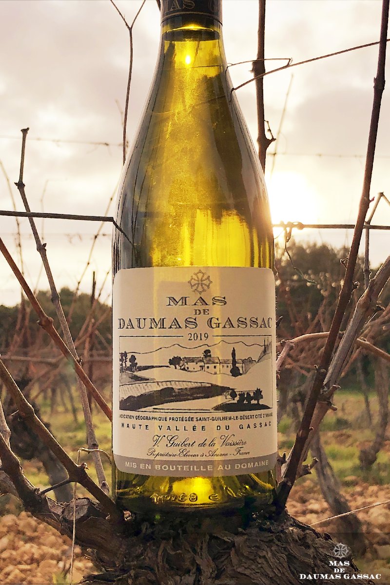 C'est avec #joie et #emotion que nous vous annonçons la mise en bouteille de notre 34ème #millésime du Mas de Daumas Gassac #blanc ! 🥂☀️
Dernière ligne droite avant de rejoindre la #cave de ses #fidèles admirateurs !🙌

#MasdeDaumasGassac #Nouvelle #Cuvée