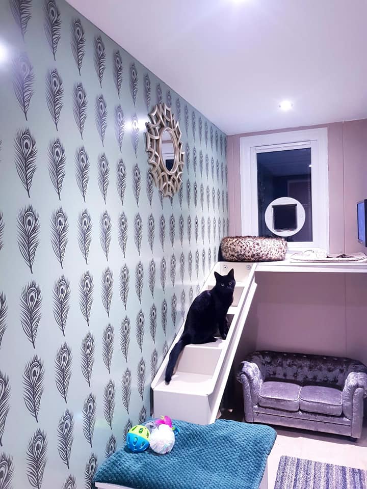 BioClad's tweet image. Approached by a UK Pet Boarding Franchise to design a range of bespoke printed hygienic wall cladding that replicated the look of 'luxury wallpaper'. Here is the end result - a great looking installation.  #cladding #Construction bit.ly/33Hk0ge