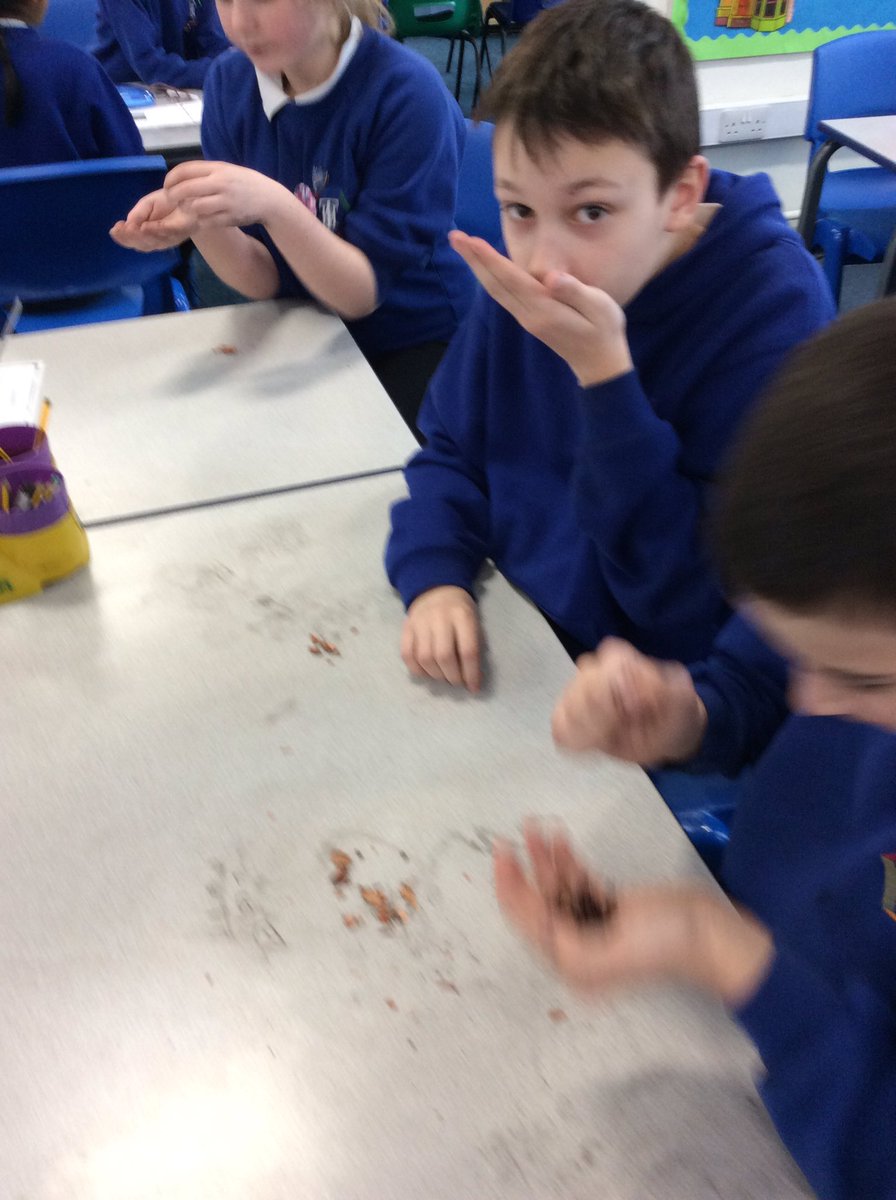 TH_Year6's tweet photo. We then explored the cocoa bean a little closer. We separated the husk from the nib which smelt lovely like chocolate.#THCREW #THlearn6 https://t.co/6lmQMZZjC4