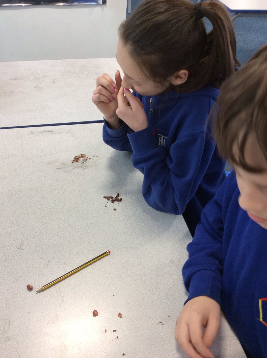 TH_Year6's tweet photo. We then explored the cocoa bean a little closer. We separated the husk from the nib which smelt lovely like chocolate.#THCREW #THlearn6 https://t.co/6lmQMZZjC4
