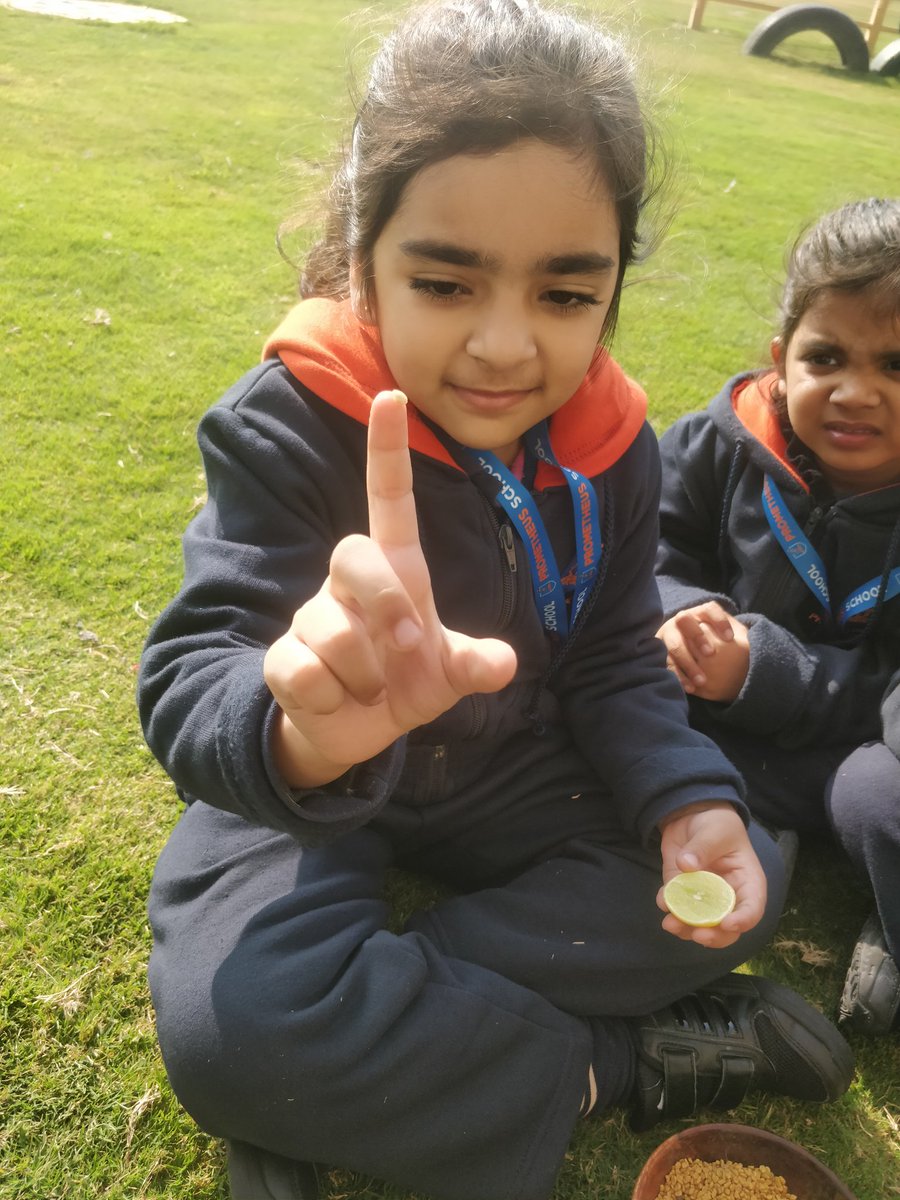 KukretiPallavi's tweet photo. #inquiry #plants, #kindergartners investigated into where do seeds come from? #thinking #curiosity #exploration #experiantiallearning #findingout @AneeshaSahni @deepa_nanda @soniasingh_13 @Prometheus_Edu https://t.co/VCXcn8Z66m