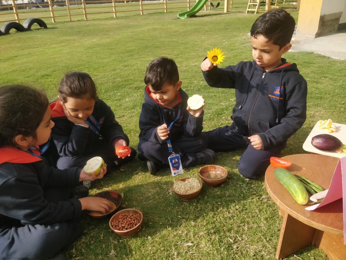 KukretiPallavi's tweet photo. #inquiry #plants, #kindergartners investigated into where do seeds come from? #thinking #curiosity #exploration #experiantiallearning #findingout @AneeshaSahni @deepa_nanda @soniasingh_13 @Prometheus_Edu https://t.co/VCXcn8Z66m