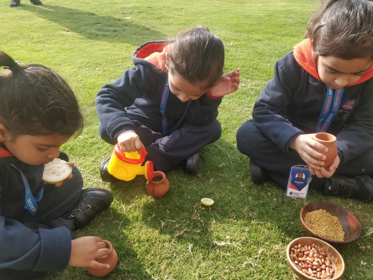 KukretiPallavi's tweet photo. #inquiry #plants, #kindergartners investigated into where do seeds come from? #thinking #curiosity #exploration #experiantiallearning #findingout @AneeshaSahni @deepa_nanda @soniasingh_13 @Prometheus_Edu https://t.co/VCXcn8Z66m