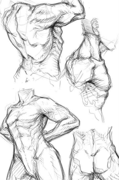 FaceSaimon's tweet photo. Anatomy sketchs✨✨✨
#sketch #doodle #anatomy https://t.co/AojvfK6Nxa