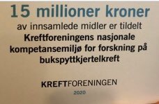 Elin Holter Anthonisen tweet media