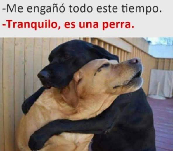 LocurasdeMagdal's tweet photo. https://t.co/XkQyat4zRC
