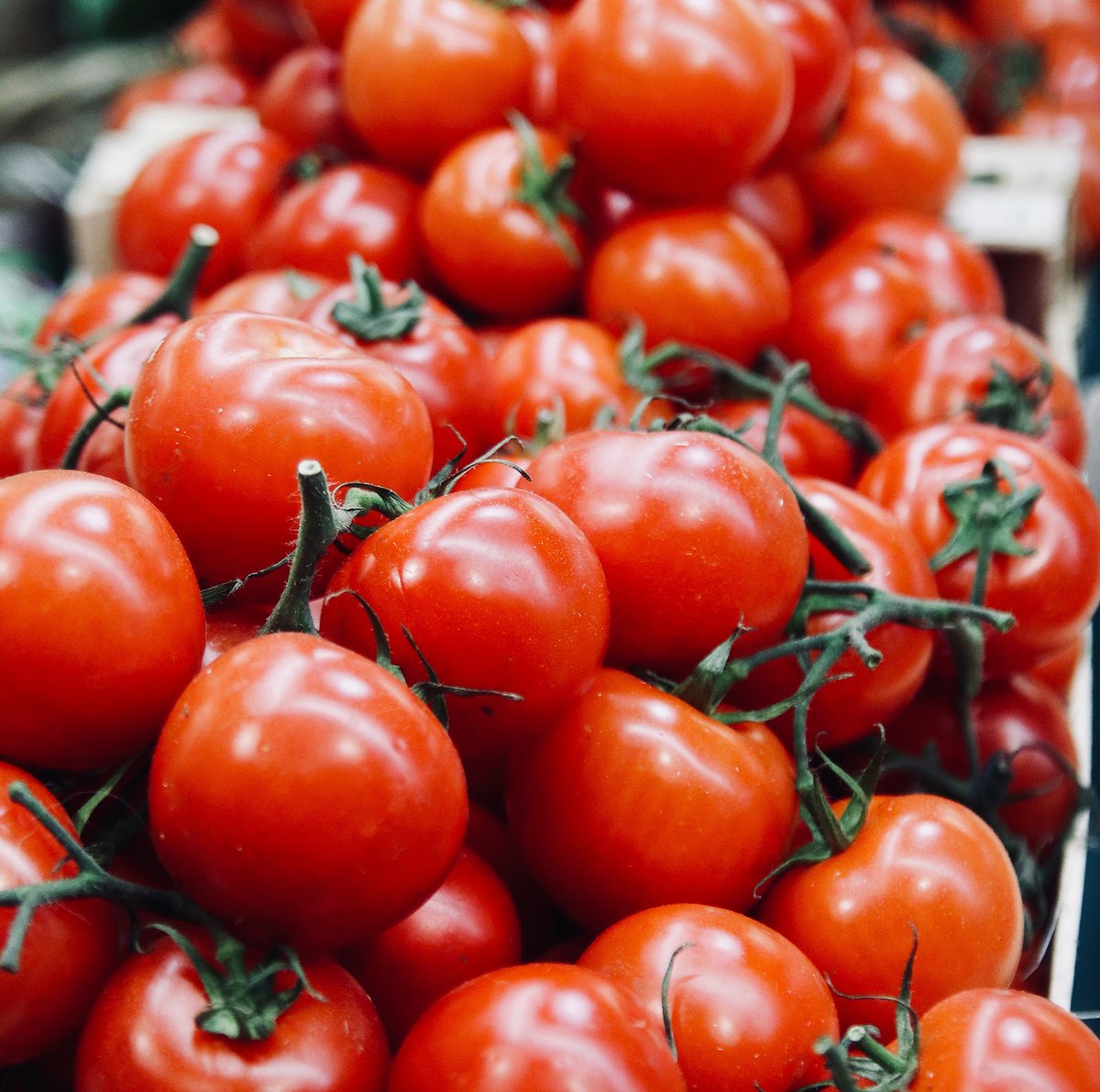 CoxsOriginalUK's tweet photo. Did you know that tomatoes are actually full of vitamins? So a Bloody Mary is technically healthy right? 🍅 #bloodyobsessed #farmtotable https://t.co/BuJWw1g2u6