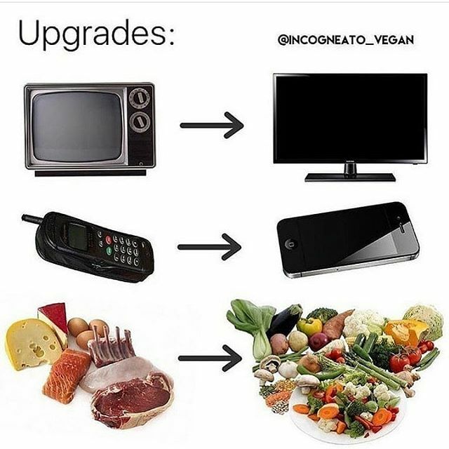 VeganKitchen's tweet photo. 🌱 Necessary life upgrades 😅
. .
👊 #repost @incogneato_vegan
Click link In Bio for funny vegan stickers, tshirts and more products coming soon...
.
.
#upgrades #compassion #crueltyfree #cheapvegan #expensivevegan #dairyfree #veganfood #vegandiet #plan… https://t.co/0f9UzuFK52 https://t.co/irjitNEWBe