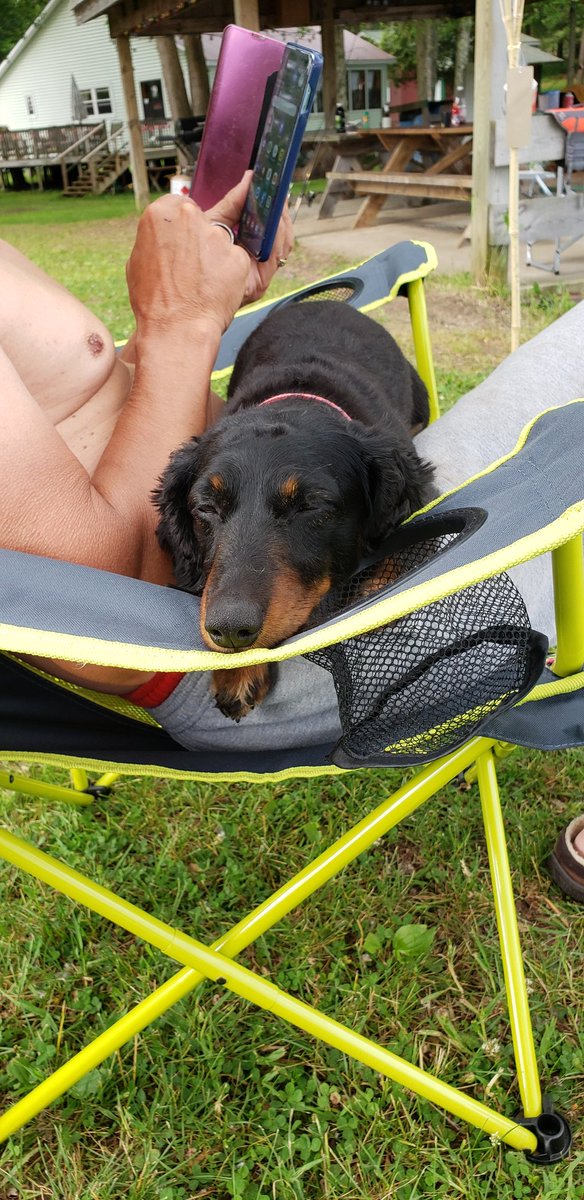 walkyourdog1st's tweet photo. Just chilling https://t.co/rnQL2T4AWa