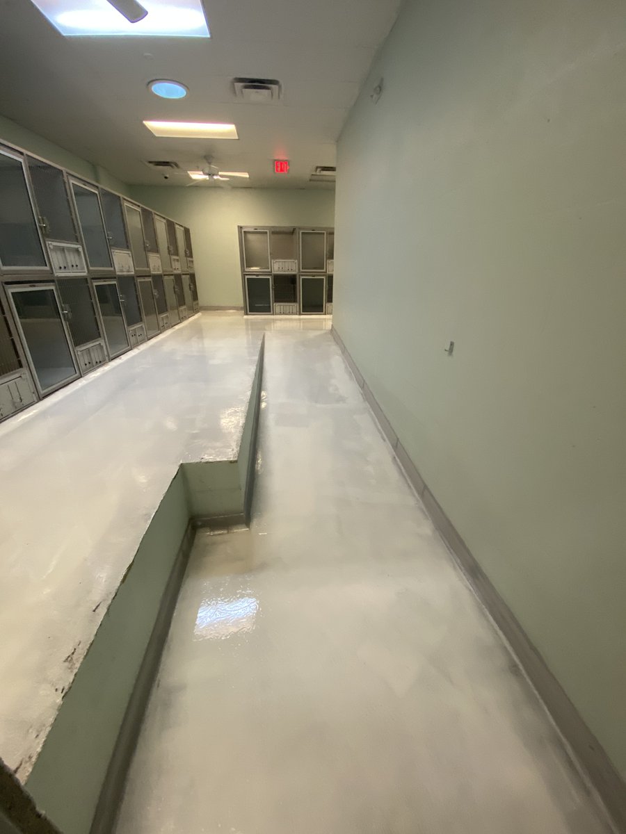 Bayside Pet Resort (BaysidePet) Twitter