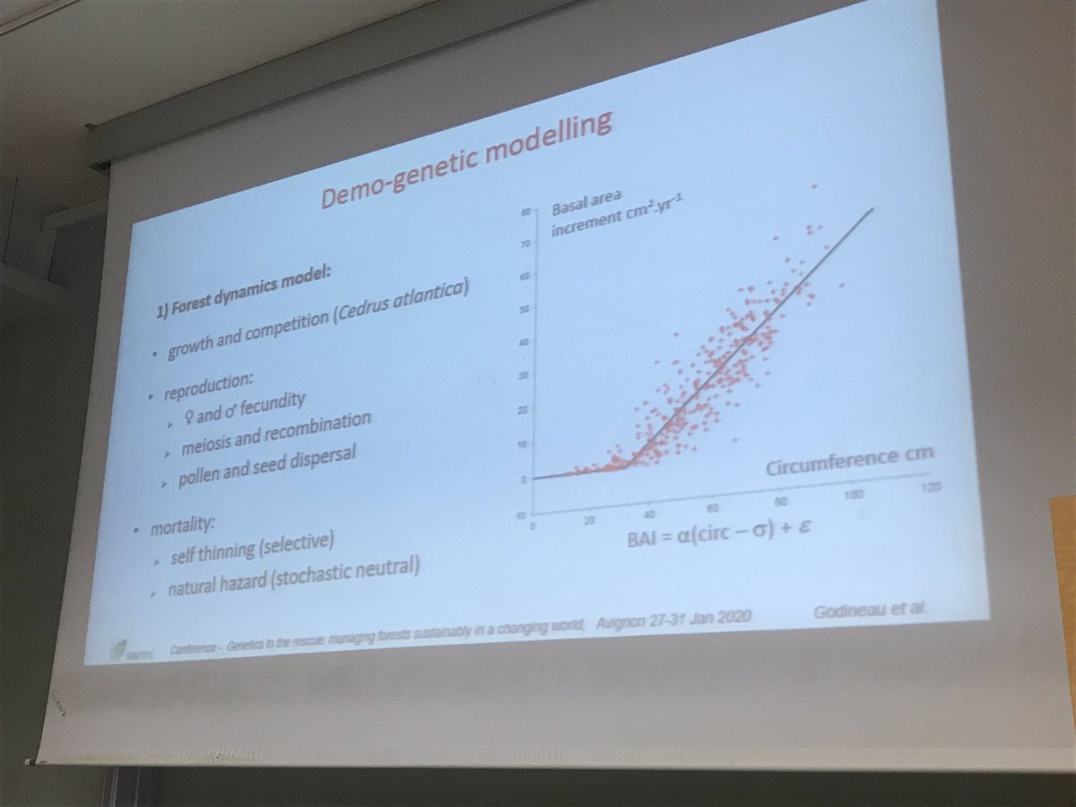 GentreeProject's tweet photo. Audience at @GentreeProject #rescueforest trapped by a simulation approach to genetic selection for growth resulted from silviculture. François Lefevre points out that “early management practices at juvenile stage are important drivers of the effective selection intensity! https://t.co/01tbsJguzN