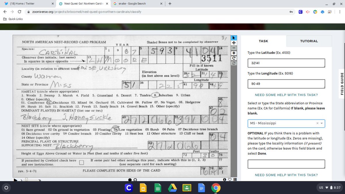 KeeliB_Sci's tweet photo. @the_zooniverse Today i'm working on a citizen-science project on zooniverse, working to transcribe data in hopes of better understanding the nesting patterns of North American birds by collecting the latitude and longitude on the nesting locations of this collection. #taysci2 https://t.co/9Wqrqy0mQ9