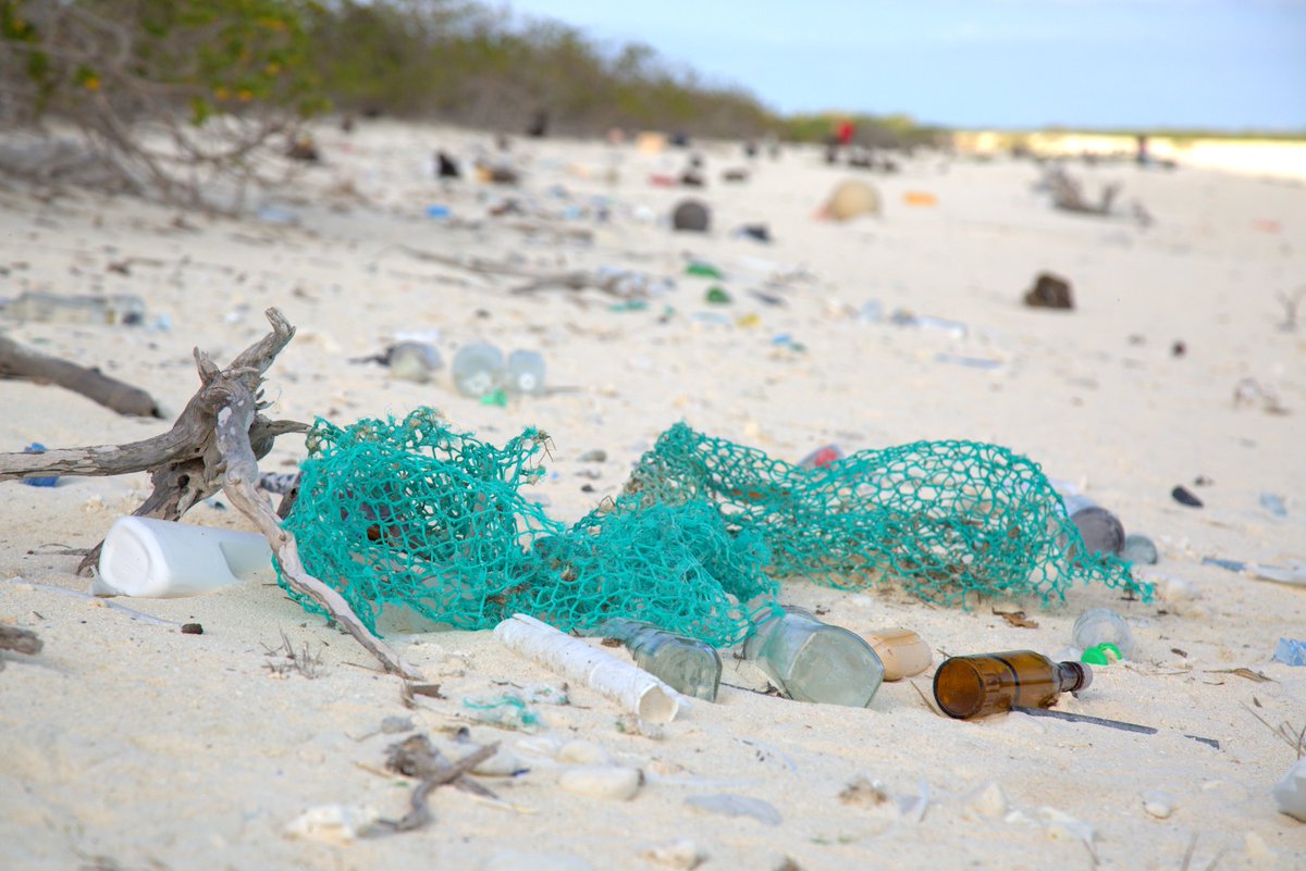 A beach is littered with a derelict fishing net, glass and plastic bottles, and other debris.