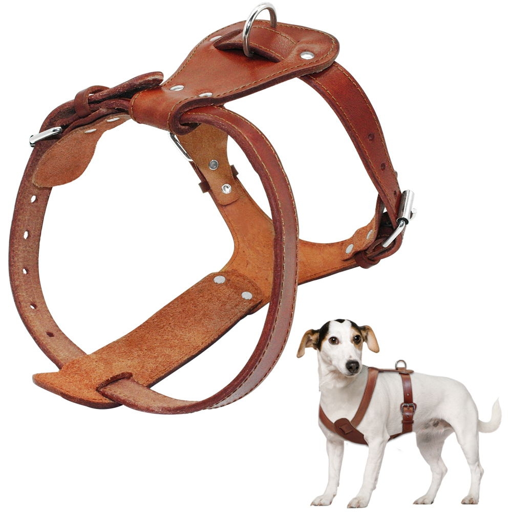 DogClubLife's tweet photo. Genuine Leather Dog's Harness
 https://t.co/cnvY45prJ2 
#dogsoftwitter #dogslife #dogs #dog #doggo #dogstuff #puppies #puppy https://t.co/7ZrUHZCyxt