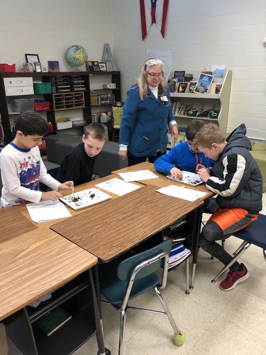 KEiskamp's tweet photo. Dissecting owl pellets today in science! https://t.co/nmGfBYiPAD