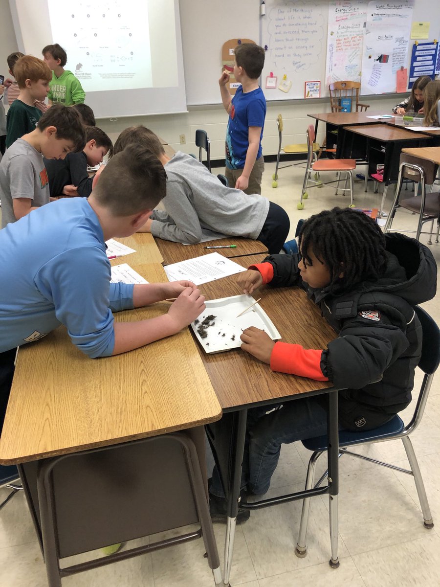KEiskamp's tweet photo. Dissecting owl pellets today in science! https://t.co/nmGfBYiPAD