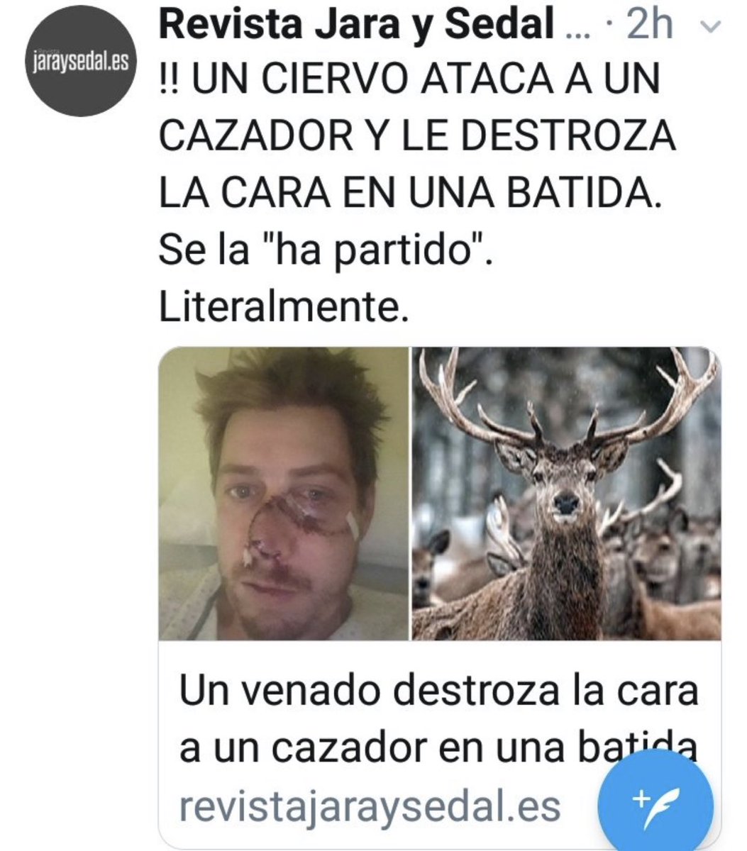 carlosmascotero's tweet photo. Información de alto nivel...
El ciervo ATACA... solo les ha faltado “con premeditación y alevosía”...
Y seguro que el cazador estaba “desarmado”, indefenso y sin ningún tipo de intención dañina hacia el animal.
Acojonante... https://t.co/uSjqfAQSlQ