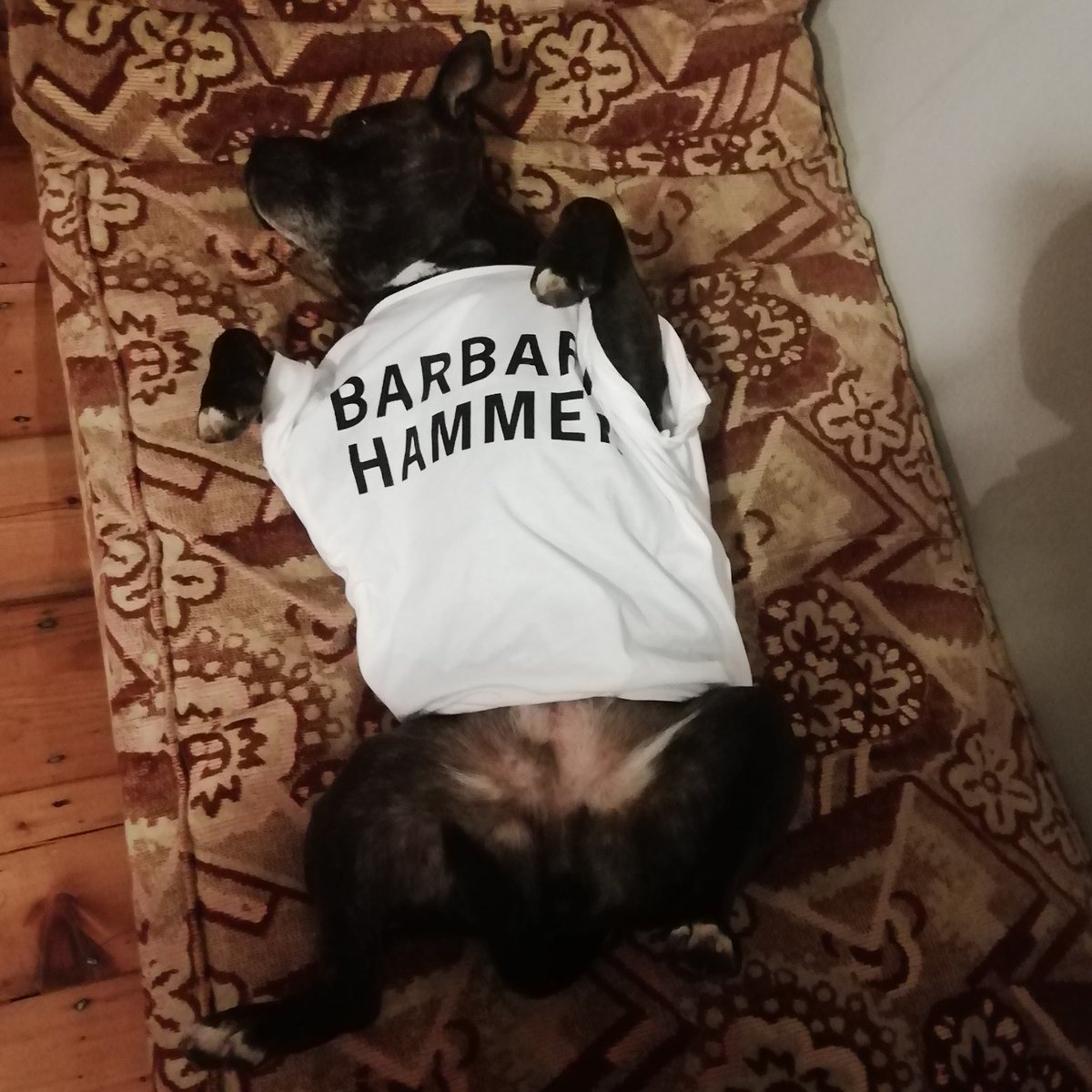badaude's tweet photo. i've a new piece up at MAI Journal #maifeminism on
#DEATH!
#POETRY!
#WORK!
#DYKETACTICS!
#ANETHICSOFMENTIONING
(& here is Dayzey, my publicity model, wearing my Barbara Hammer t-shirt)
https://t.co/ILEsSJsA1d https://t.co/99EdkCdNAG