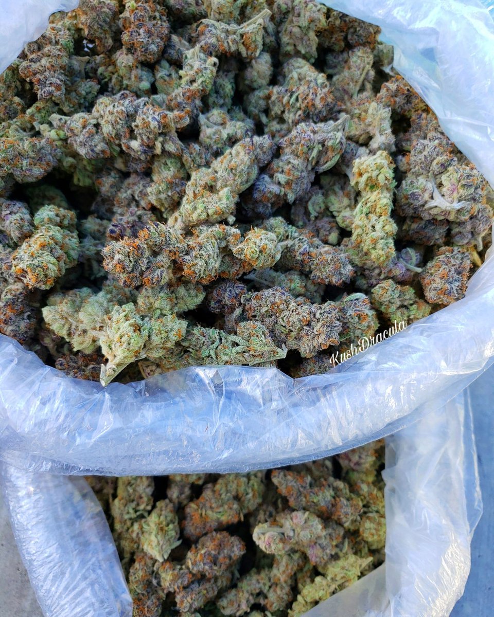 HIGH_TIMES_Mag's tweet photo. Happiness is a fat sack of weed.

📸: @instagram.com/kushdracula/ https://t.co/0GFL9tU00W
