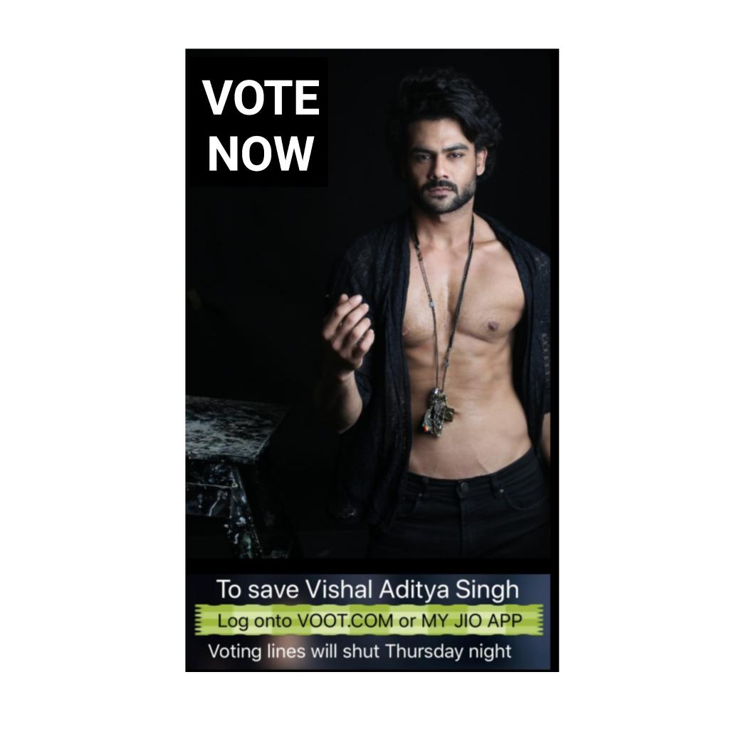 It's last couple of weeks, and your support for #vishaladityasingh is of utmost importance to us now..! So VOTE NOW and ask your family & friends also to Vote for him..! Thank you for your love and support for #vishal..! #biggboss13 #BB13 #colorstv #betrue #begooddogood