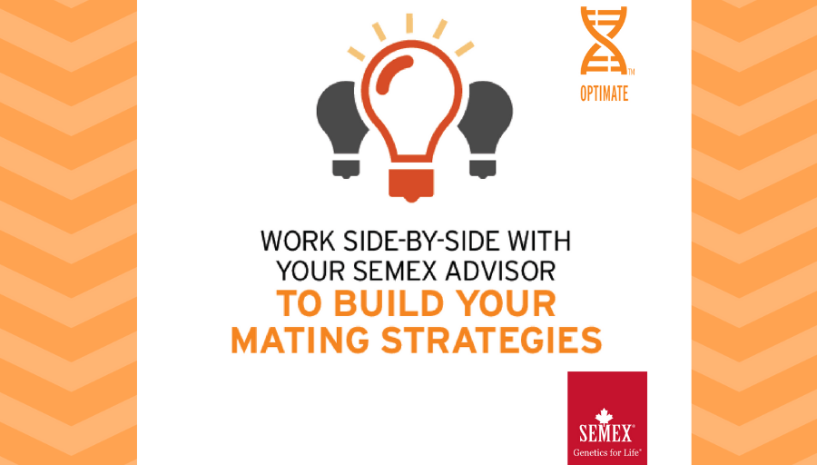 Semex's tweet photo. Let's do great things together! With OptiMate™ we work side-by-side to build your own mating strategy! Ask about it today! #semexsolutions #Bettertogether https://t.co/qMdgIWosNe