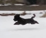 joaquin4myles's tweet photo. Hoping my hap-penis brings you the same. #iamflying #happiness https://t.co/Uy2M9chwO3
