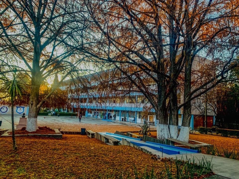 durangos21's tweet photo. Arriba del 50% de Egresados de la ByCENED Logran Plaza en la SEED. #Durango #Durangos21 https://t.co/boS9hXlUBM https://t.co/35ihMDRmXm