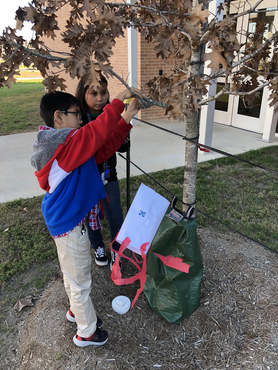 RoadrunnerRicky's tweet photo. 5th graders creating and using scientific tools to measure weather conditions, and collect data. #weathervsclimate #sciencerocks https://t.co/dnjbDXKUhj