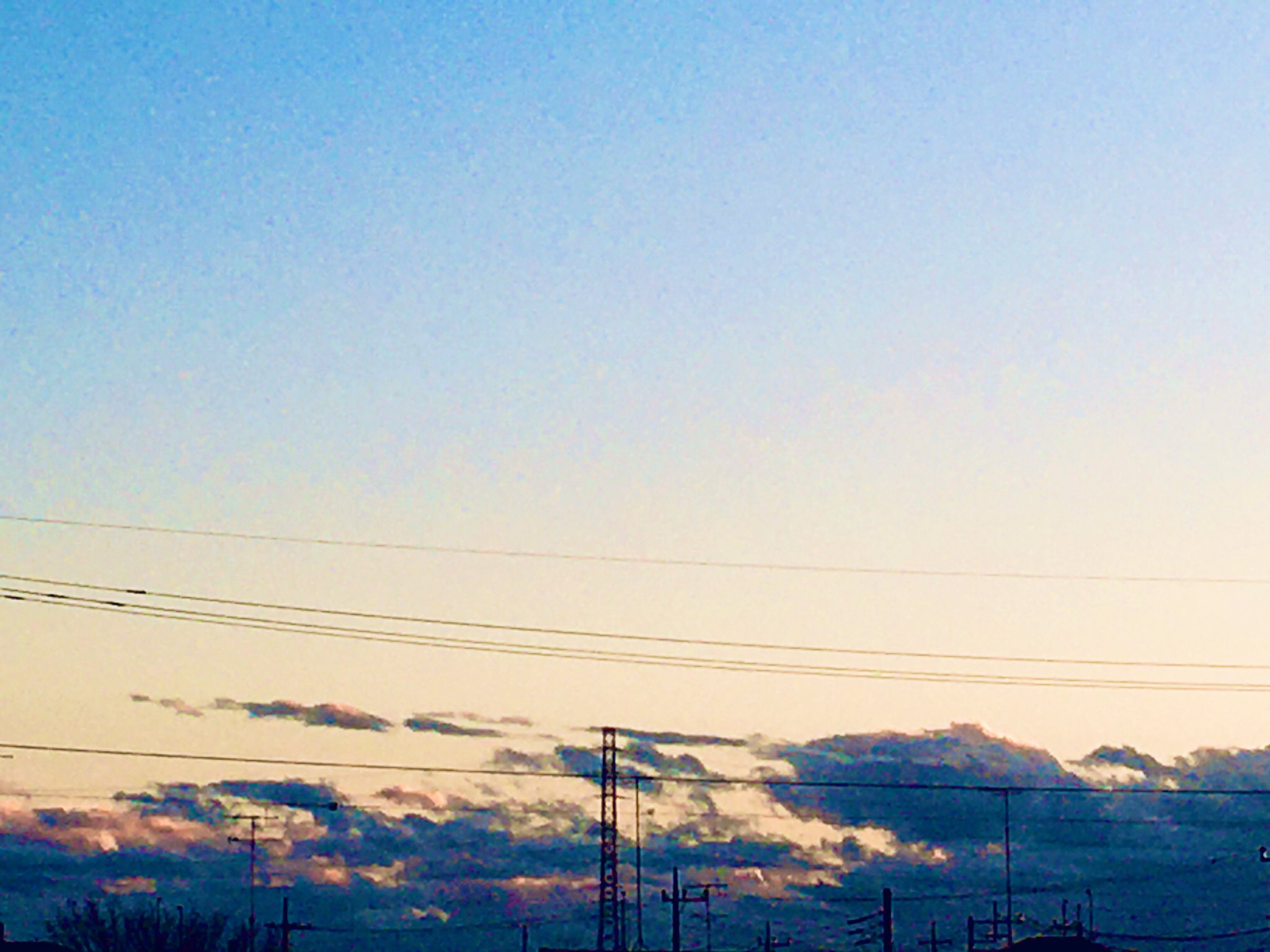 祈り花 平井大 Twitter Search Twitter