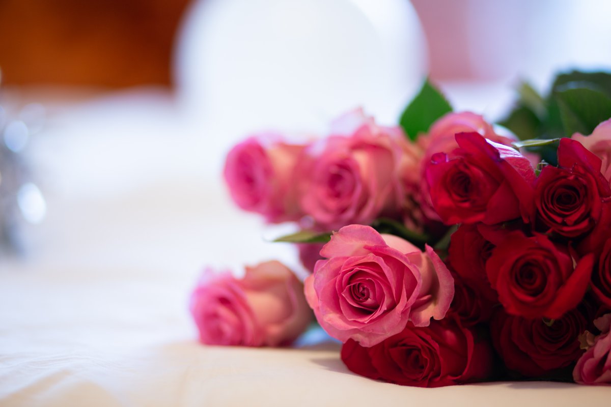 bigohbox's tweet photo. They don't want roses... They want Big Oh! Sign your significant other up for our quarterly boxes or pick out a unique gift just for them! #thebigoh #valentines #thegiftthatkeepsgiving https://t.co/X2OJZpOXs3