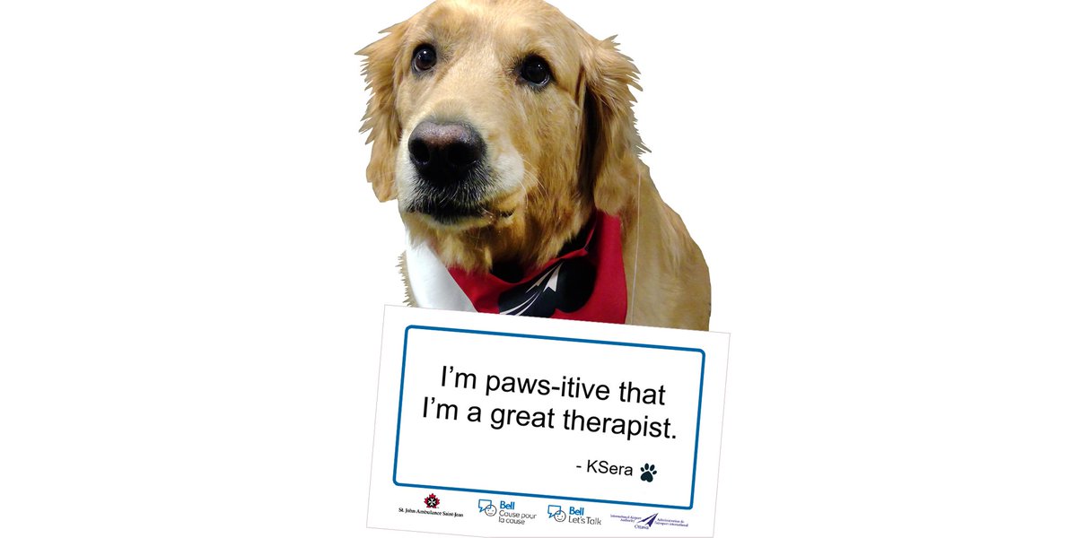 Therapy dog KSera is wearing a sign that says "I’m paws-itive that I’m a great therapist."