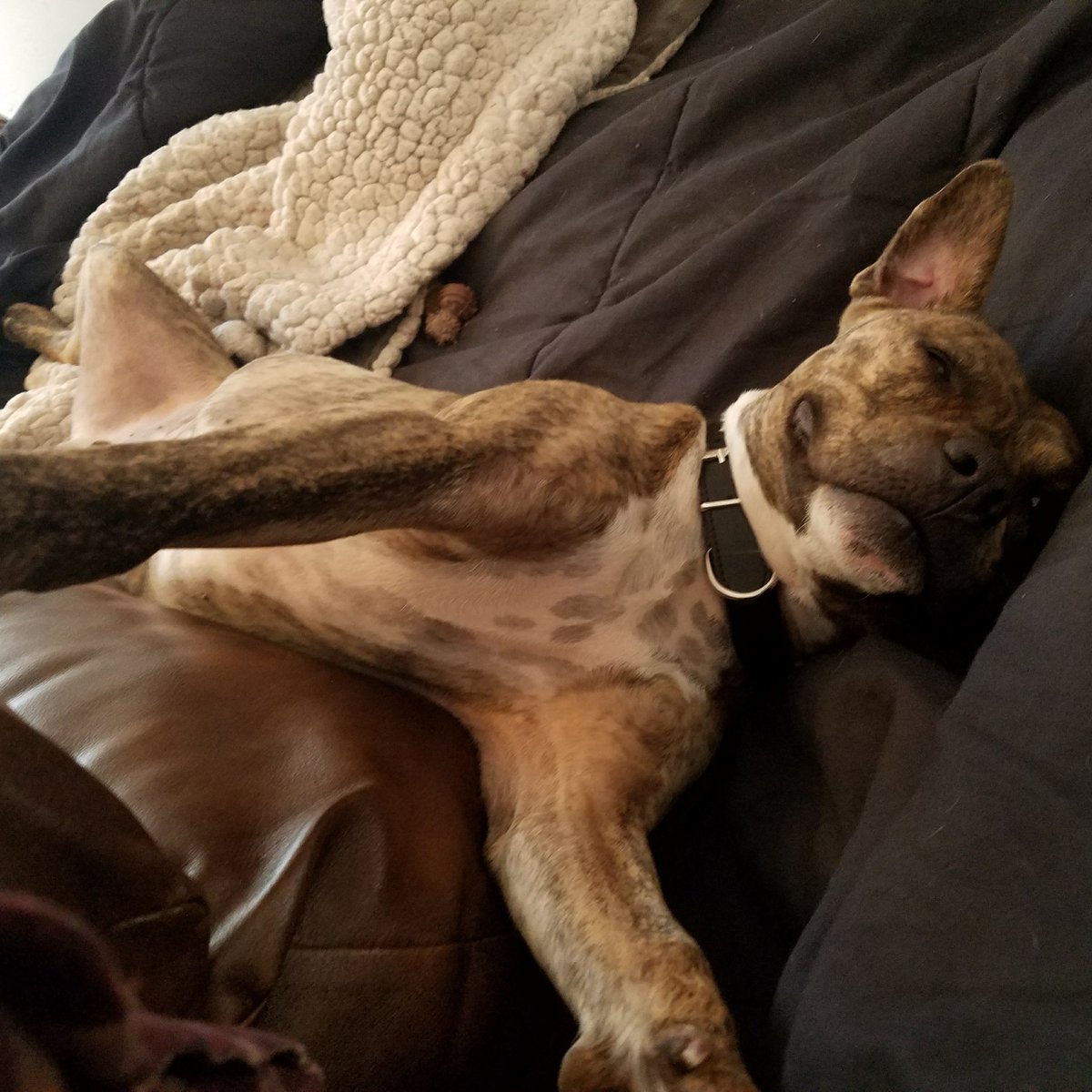 Smokey Joe Would tweet media