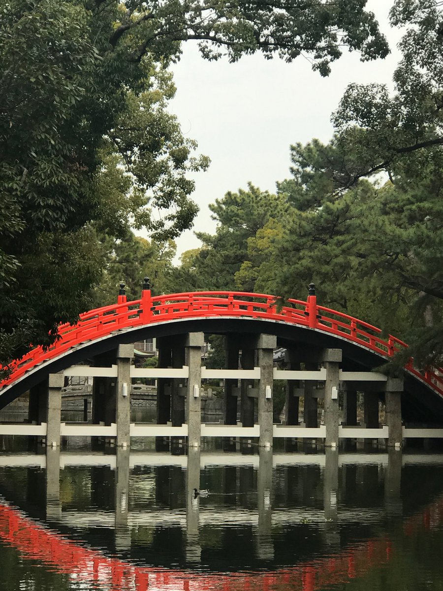 carthagecollege's tweet image. Here are some of the amazing photos students have submitted for the #carthagejterm photo contest! 

Check out blogs from our students all over the globe at carthage.edu/january-term/b…

Students, to enter the contest, tag your photos #carthagejterm or email them to bridge@carthage.edu