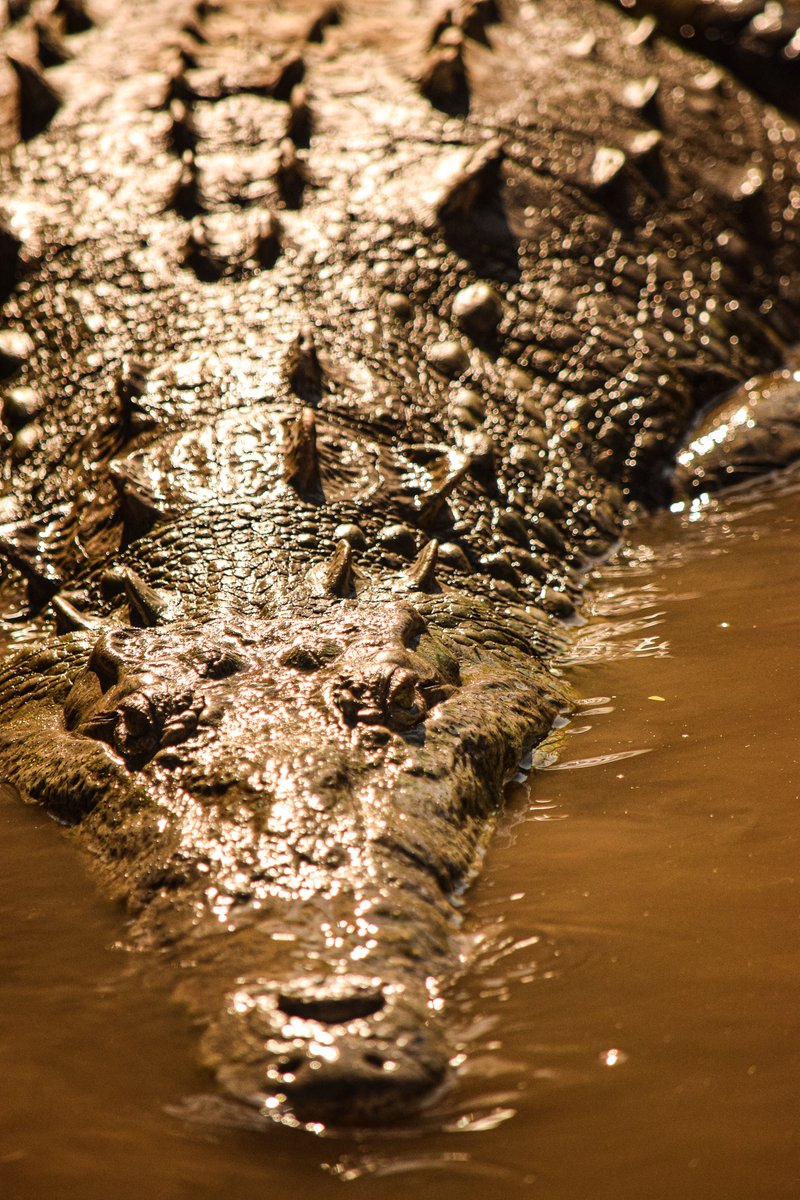 carthagecollege's tweet image. Here are some of the amazing photos students have submitted for the #carthagejterm photo contest! 

Check out blogs from our students all over the globe at carthage.edu/january-term/b…

Students, to enter the contest, tag your photos #carthagejterm or email them to bridge@carthage.edu