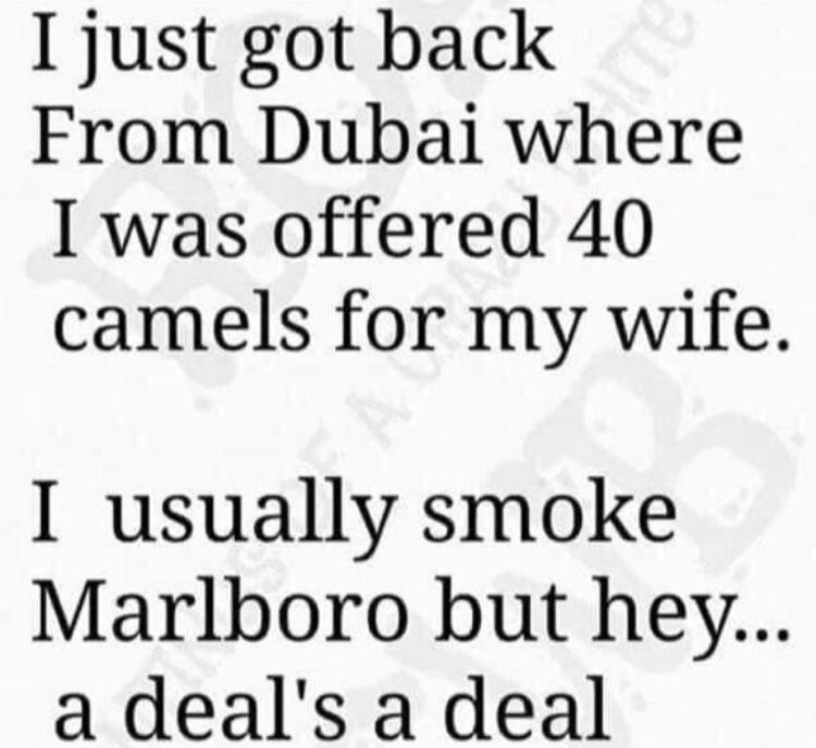 Robbie_skipper's tweet image. 