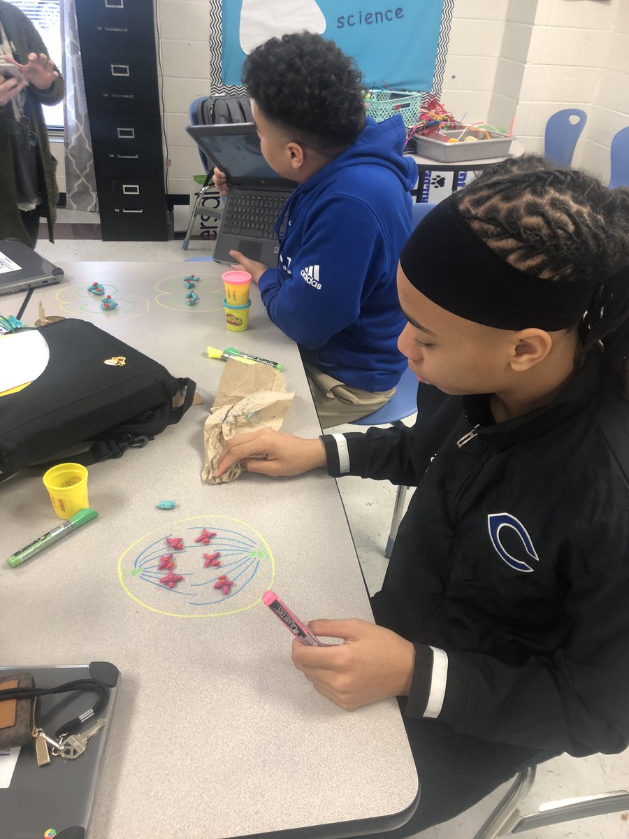 MsKMelton1's tweet photo. Meiosis Stop Motion videos. Pre AP Biology making meiosis videos with play dough and we video#COMMITTED #CburgHigh @CburgHigh https://t.co/SYk8tTxwr0