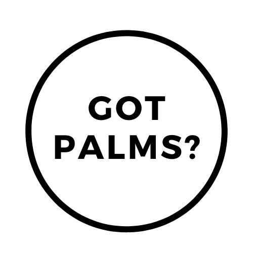 PalmsPres's tweet photo. Come and see all that God is doing in and through Palms Presbyterian Church! #WeArePalms https://t.co/QUPsssMIpv https://t.co/6E8WMnbGYq