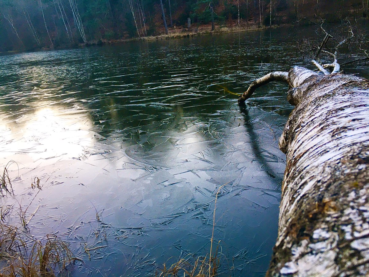 Momojitoooo's tweet photo. Tu t’balades en forêt et tu tombes sur ce genre de spots 🥰❄️😍 #photography #photographie #étang #hasselfurth #lorraine #ballade #lovemyregion #beautifulcolors #iphone #love #walkinforest https://t.co/lbWrd3juWS