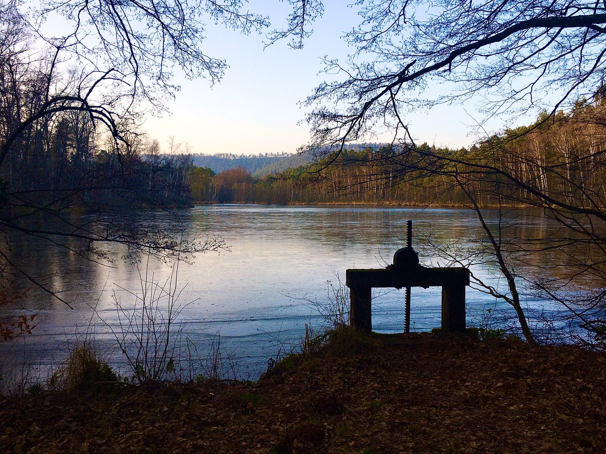 Momojitoooo's tweet photo. Tu t’balades en forêt et tu tombes sur ce genre de spots 🥰❄️😍 #photography #photographie #étang #hasselfurth #lorraine #ballade #lovemyregion #beautifulcolors #iphone #love #walkinforest https://t.co/lbWrd3juWS